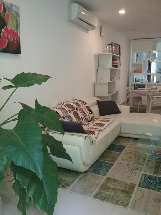Bed and Breakfast Casa Rioja Playacar à Playa del Carmen Extérieur photo